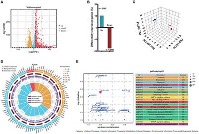 Transcriptomic insights into pseudorabies virus suppressed cell death pathways in neuroblastoma cells